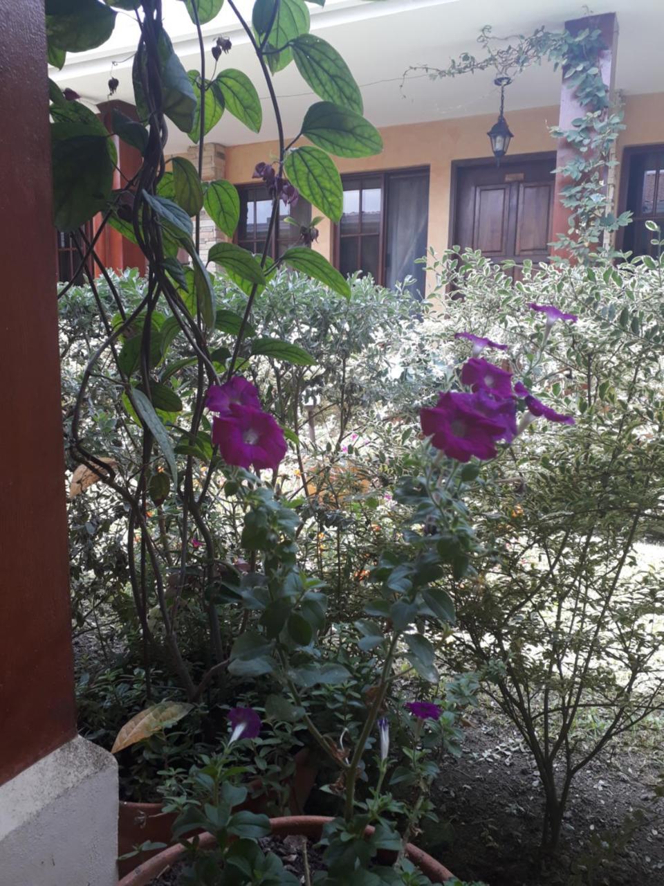 Posada Gema De Copan Santa Rosa de Copán المظهر الخارجي الصورة
